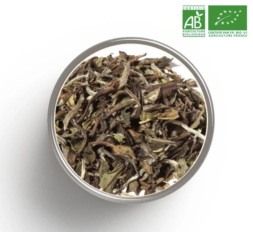 BOITE DE THÉ BIOLOGIQUE - PURE THÉ