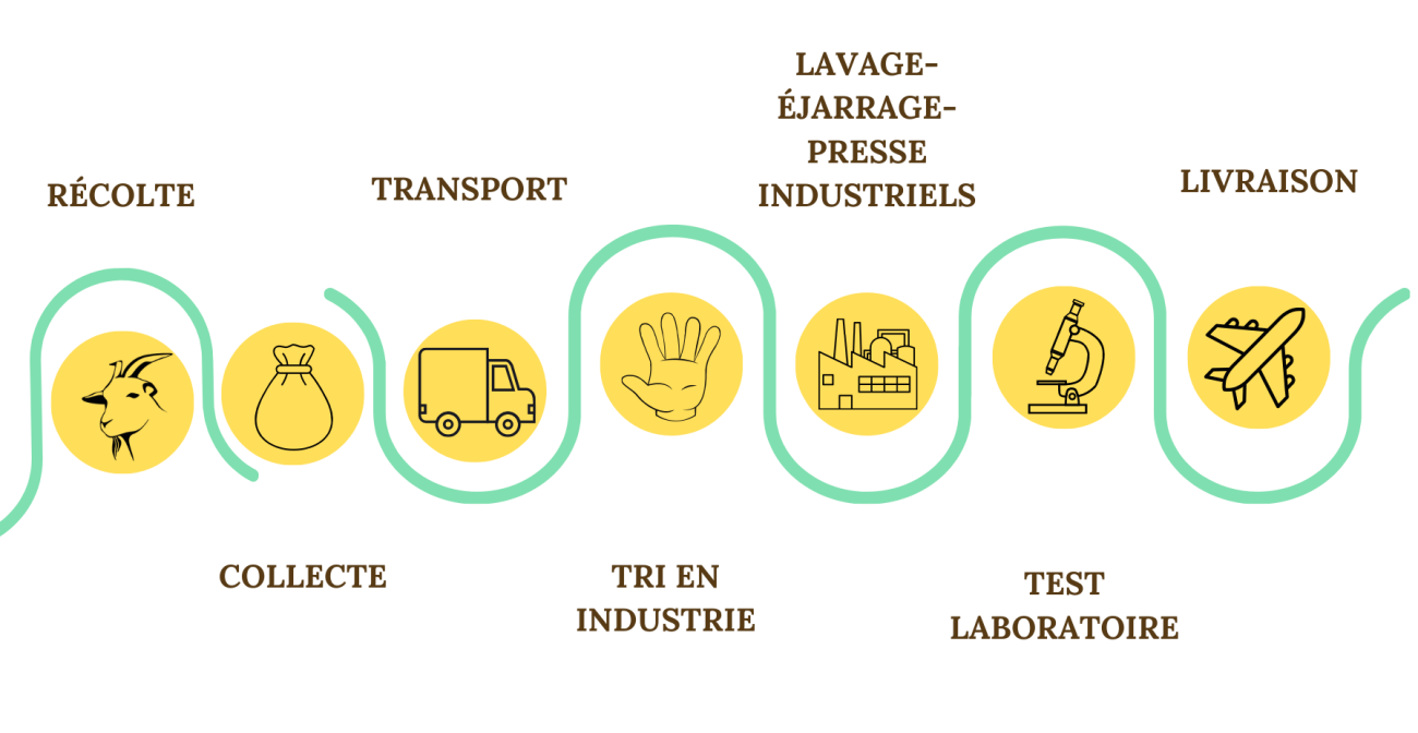 TRANSPARENCE DE PROCESSUS - PURE THÉ